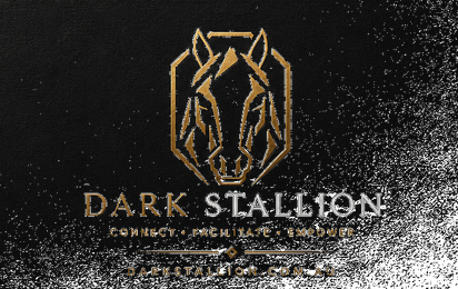 Dark Stallion logo